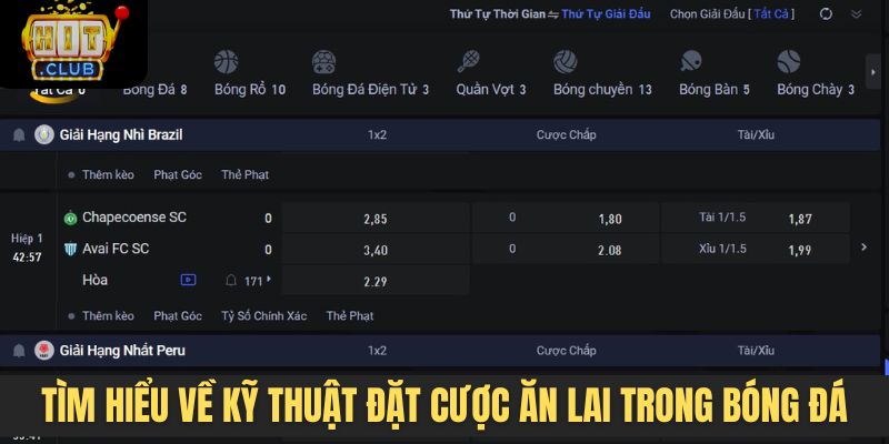 Tìm hiểu về kỹ thuật đặt cược ăn lai trong bóng đá